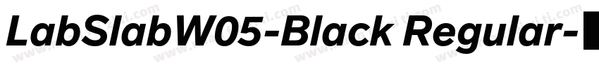 LabSlabW05-Black Regular字体转换